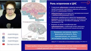 Экспертология | Климактерический синдром Пустотина О.А.