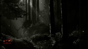 Лесная ведьма, Страшные истории (Экслюзив).mp4