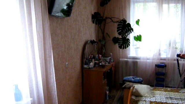 Зелёнка под потолок