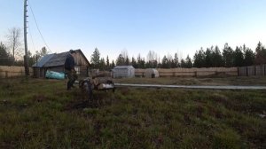 Лучшие ДРОВА БЕРЕЗА И СОСНА (заготовка)