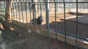 Турбаза лазурит база отдыха волгоградская область