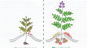 Защита от подделок - ПРЕСТИЖ