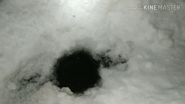 Зимняя рыбалка 2019. Канск!