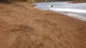 Русский катер волна с прохватом воздуха, трава мелководье