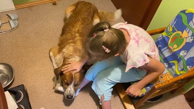 Клип Собака-барабака! #собака #собакадругчеловека #собакабарабака #детскиепесни #детскиепесенки