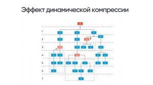 Маркетинг план 2023   компания Coral Club