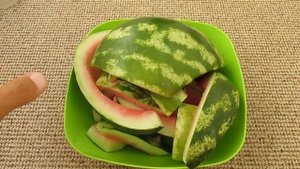 Калифорнийские черви - кормление арбузными корками