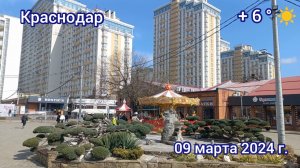 Краснодар - прогулка по улице Красной - 09 марта 2024 г.