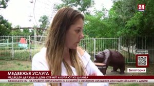 Жители Евпатории пожаловались на состояние медведей в местном зооуголке