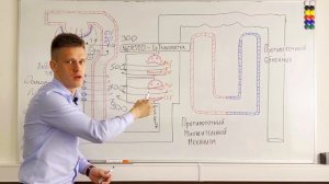 Физиология почки: петля Генле. Противоточный множительный механизм. Vasa recta.