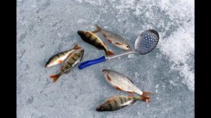 Кормить или нет рыбу   когда на безмотылки ловишь?