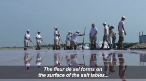 Fleur de sel harvesters keep tradition alive in southern France