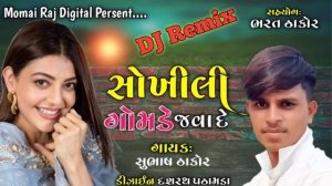 Gomde Java de Sokhili Gomde Java de//New Gujarati Dj remix //Subhash Thakor