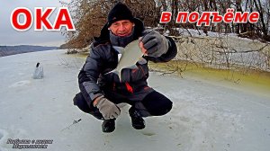 На ЧЁРТИК чаще, на ШАРИК крупнее. Рыбалка на ОКЕ в январе.