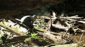 Шуя костромская  часть первая..avi