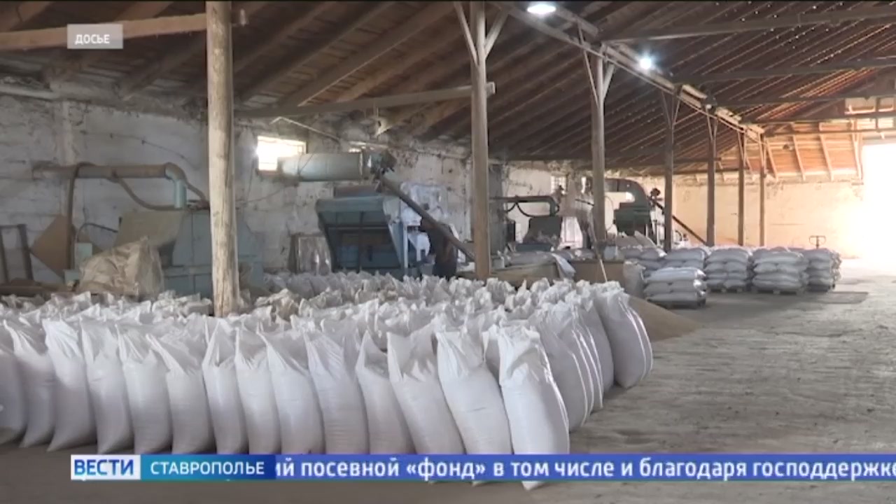 Самая масштабная за всю историю проведения выставка сельхозпродукции пройдет на Ставрополье