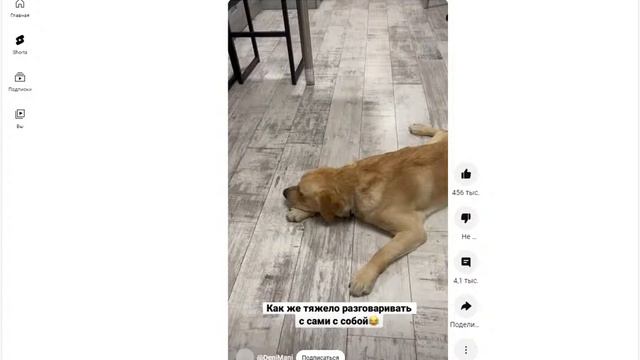 кРиНжАнуУл --- ПрОиГрАл сМоТрИм ШоРтСы вМеСтЕ короткие видео смотреть онлайн