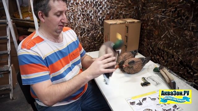 Чучела уток Кряква Softplast
