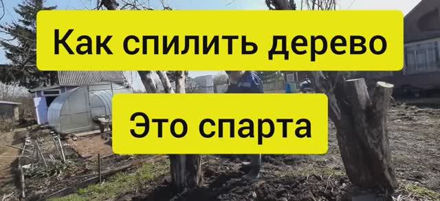 Как спилить дерево в нужном направлении. Как повалить дерево ударом ноги смотреть онлайн