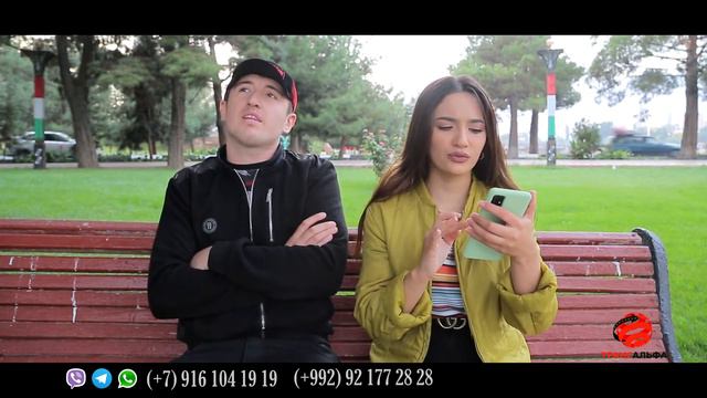 ТрансАльфа любые границы не почем.