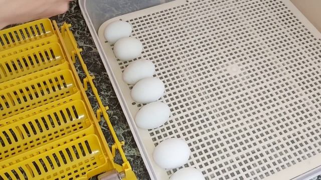 Я сошла с Ума! ЭТО Случилось на 3 дня раньше? я не готова! Наклев голубого яйца смотреть онлайн