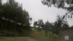 АБХАЗИЯ.  Термальный источник КЫНДЫГ. ???