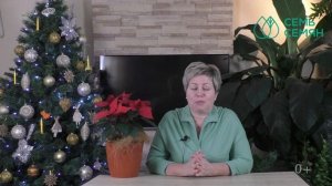 САМЫЕ НЕОБЫЧНЫЕ И РОСКОШНЫЕ ХВОЙНИКИ ДЛЯ ВАШЕГО САДА!