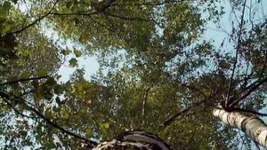 МАДАЕВО  Нижегородская обл. Починковский р-н. часть 1