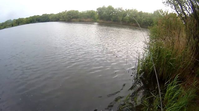 FILE0036 смотреть онлайн