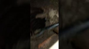 ТОННЕЛЬ ШТОЛЬНЯ РУЧНАЯ КОПКА 16 октября 2021 г.