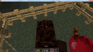 Как Приручить Лошадь в Майнкрафте)Як приручити коня в Майнкрафті)How to tame a horse in minecraft)