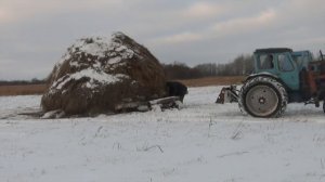 Вывозка сена тракторами Беларусь в осенне-зимнее время.