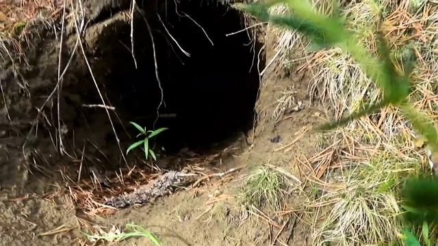 Регион 88 | На разведку смотреть онлайн