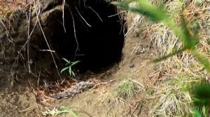 Регион 88 | На разведку