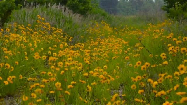 Над Окой !!! смотреть онлайн