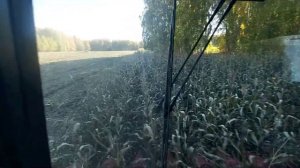 Уборка кукурузы.Заготовка кормов по технологии Карнаж.Трактора кировец мтз.комбаин Нью холланд