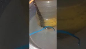 Хлорное железо с помощью электролиза своими руками в дома