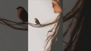 Adrián Berenguer - Life