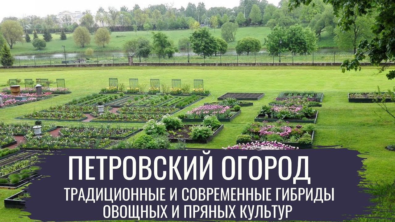 Петровский огород \ Современный огород