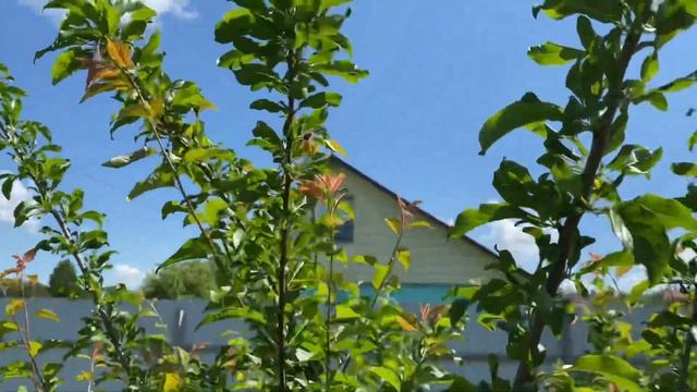 ШУРПА В КАЗАНЕ НА КОСТРЕ, НАВАРИСТЫЙ БУЛЬОН НУ ОЧЕНЬ ВКУСНО #шурпа #казан #накостре #рецепты смотреть онлайн