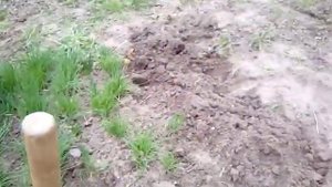 СТРОИМ ТЕПЛИЦУ ПОД ЦЕЛОФАН, С БРУСКОВ