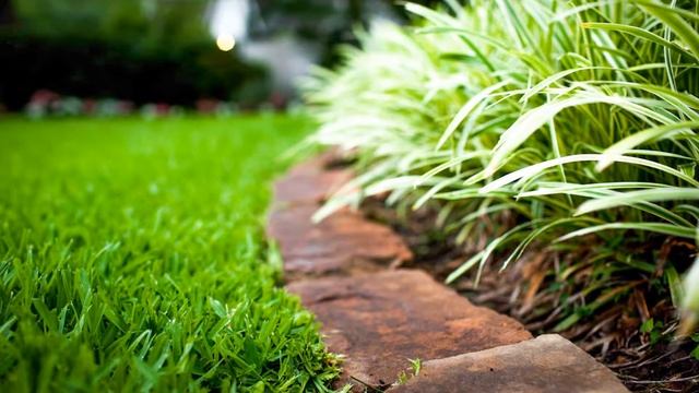 Секреты красивого палисадника смотреть онлайн