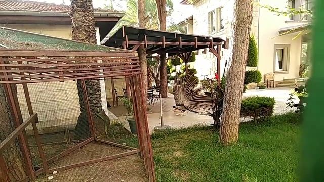 Исторический центр Алании, музей, театр, кинотеатр, пещера , крепость