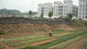 Village in Panyu district (Guangzhou)