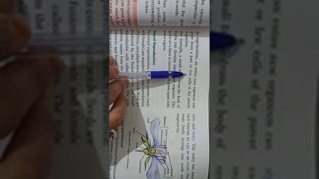 multiplication in plants ch 10 class 7 смотреть онлайн