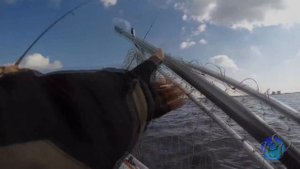 Как найти рыбу ЭХОЛОТОМ СТРУКТУРСКАНЕРОМ! Принципы поиска хищника. Рабочие приманки