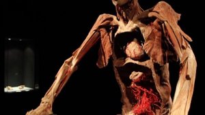 Gunther von Hagens. Body Worlds (the anatomical exhibition of real human bodies)