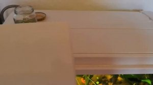 Пиявки в аквариуме или "сердитый" отсадник для мальков на скорую руку Часть 1