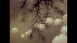 Дисней "Фантазия" 1940г. Чайковский "Вальс цветов"