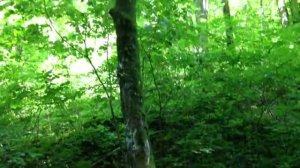 Джиппинг в Архипо-Осиповке: Водопады.